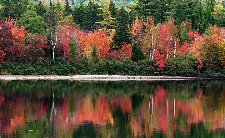 Sturtevant Pond 