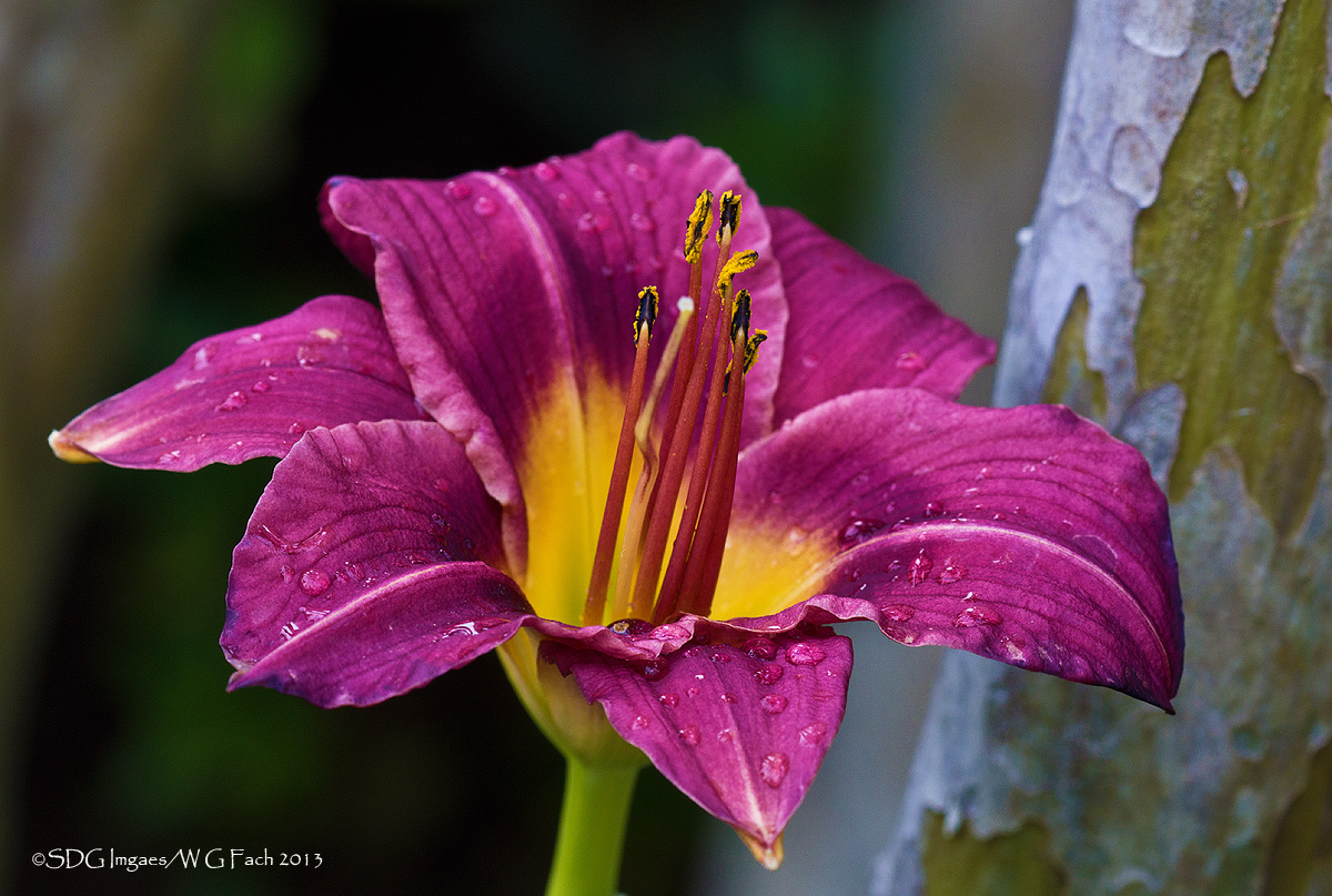 Second Wind