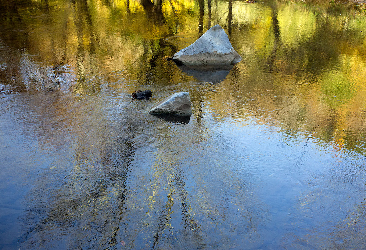 Morning along Seneca crk