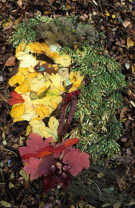 Leafography