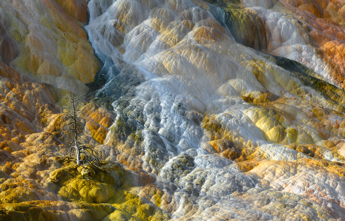 Mammoth Hot Springs