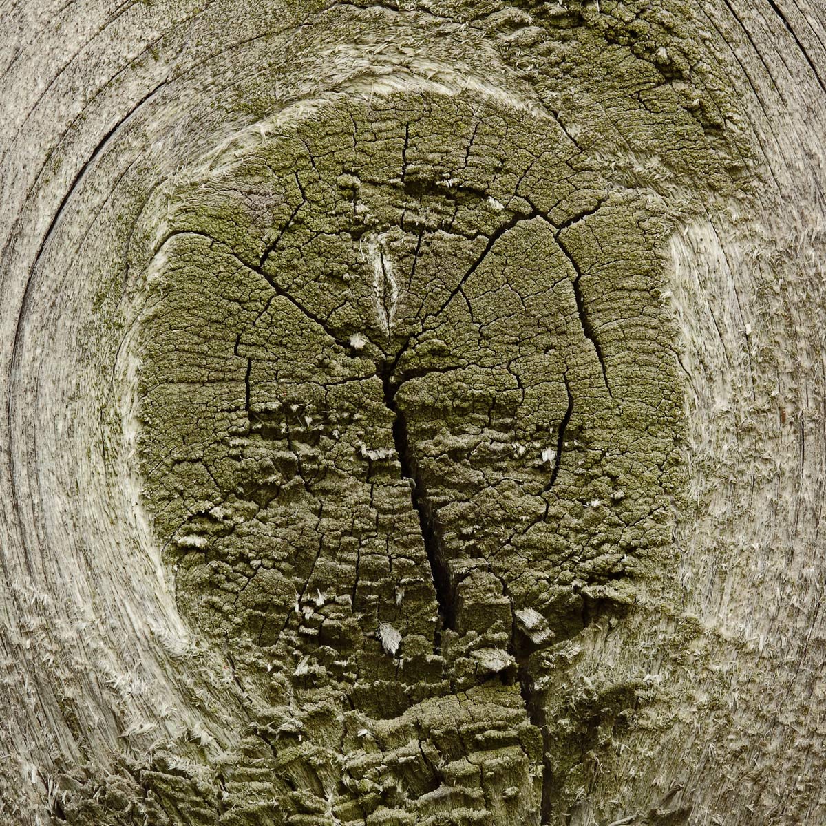 Knot a hole yet  WC 606