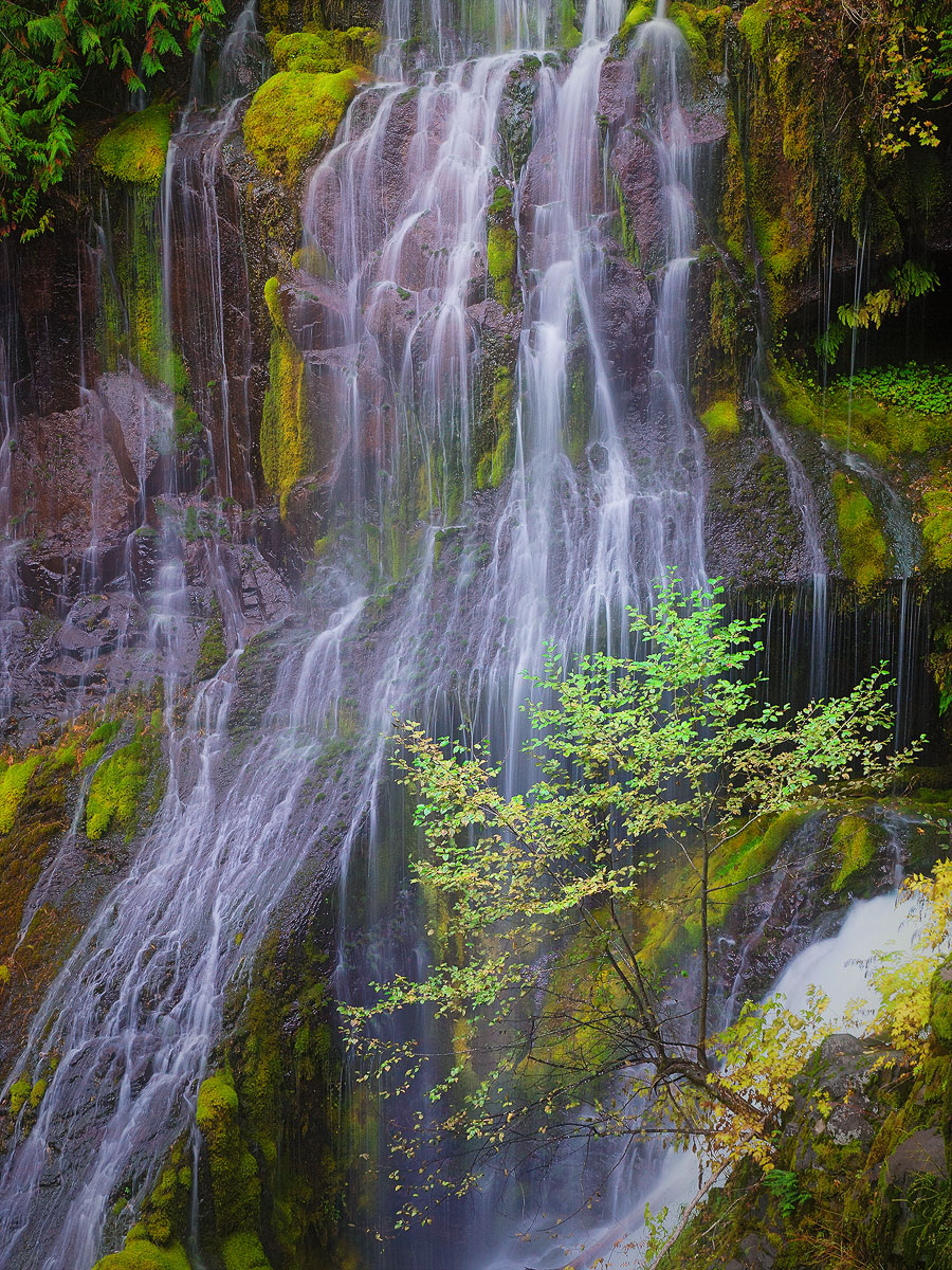 Panther Creek [+edit]