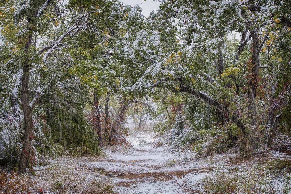 Early snow +repost