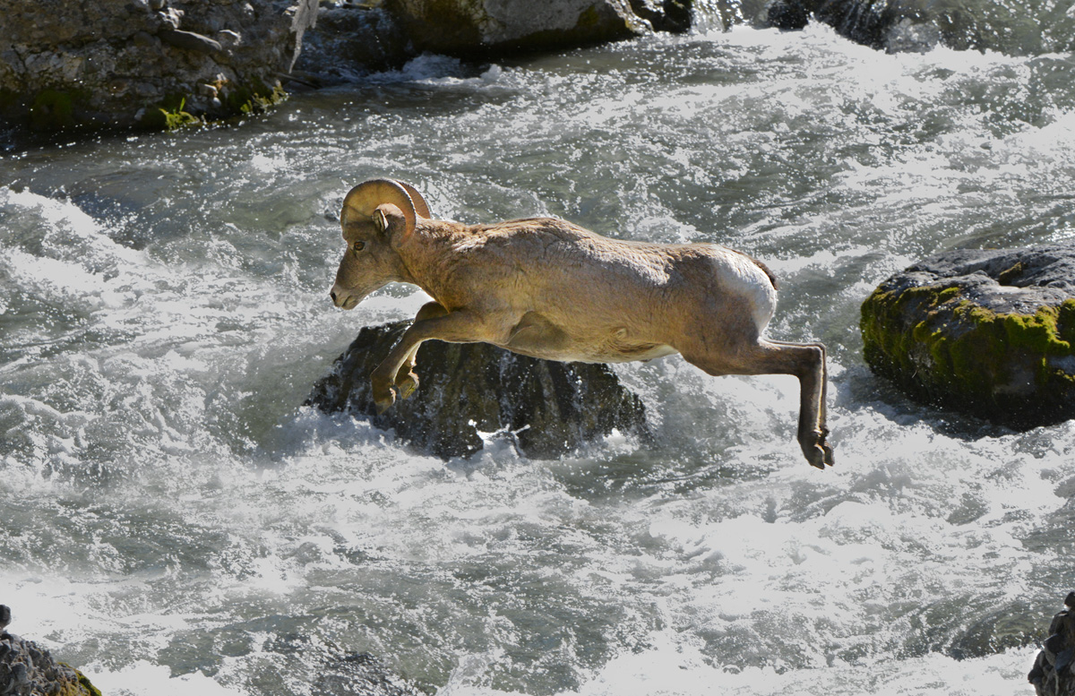 River crossing