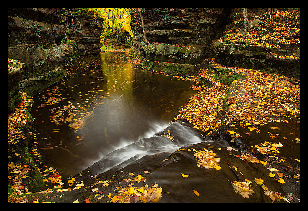 Skillet Creek 2