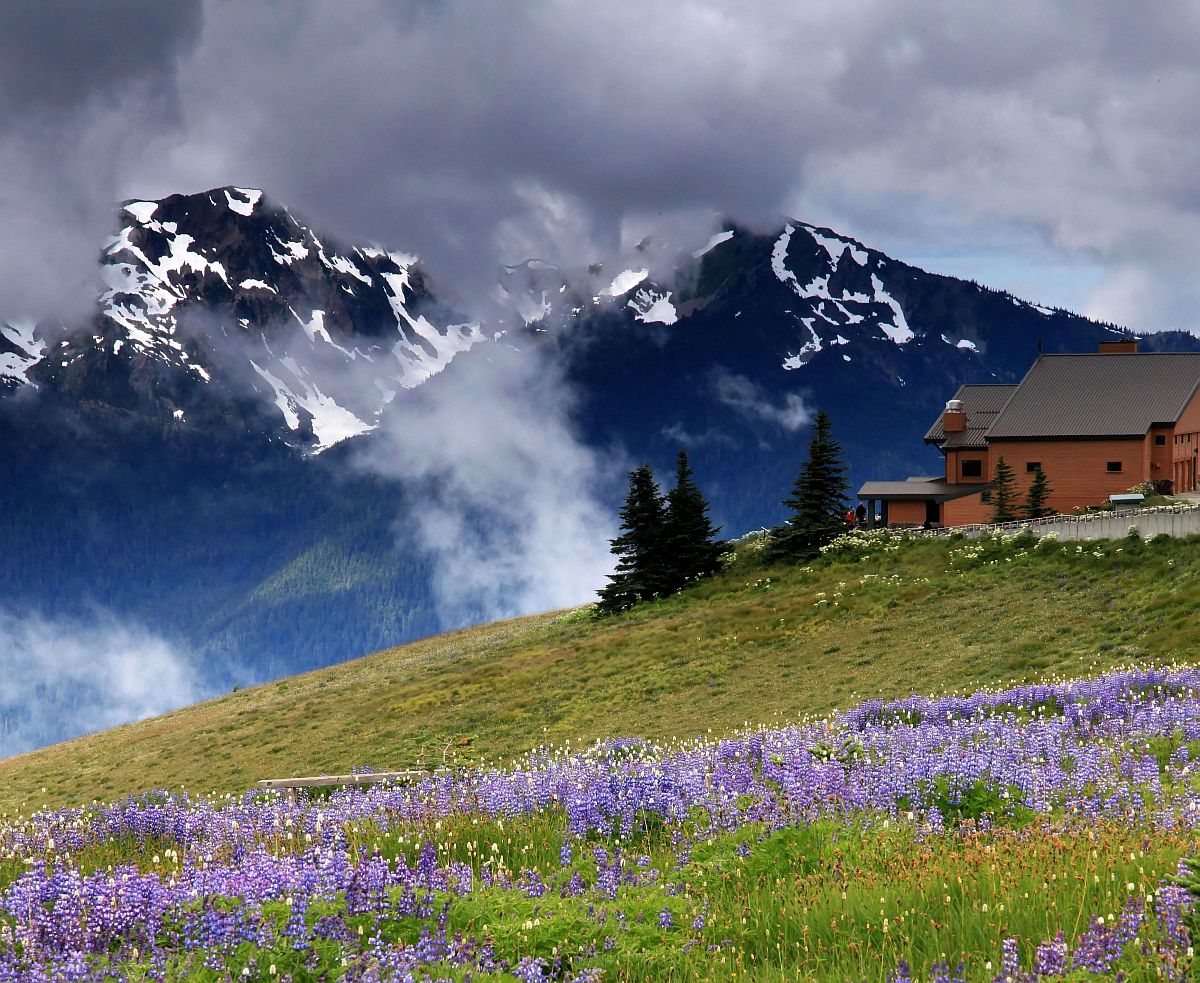 Hurrican Ridge