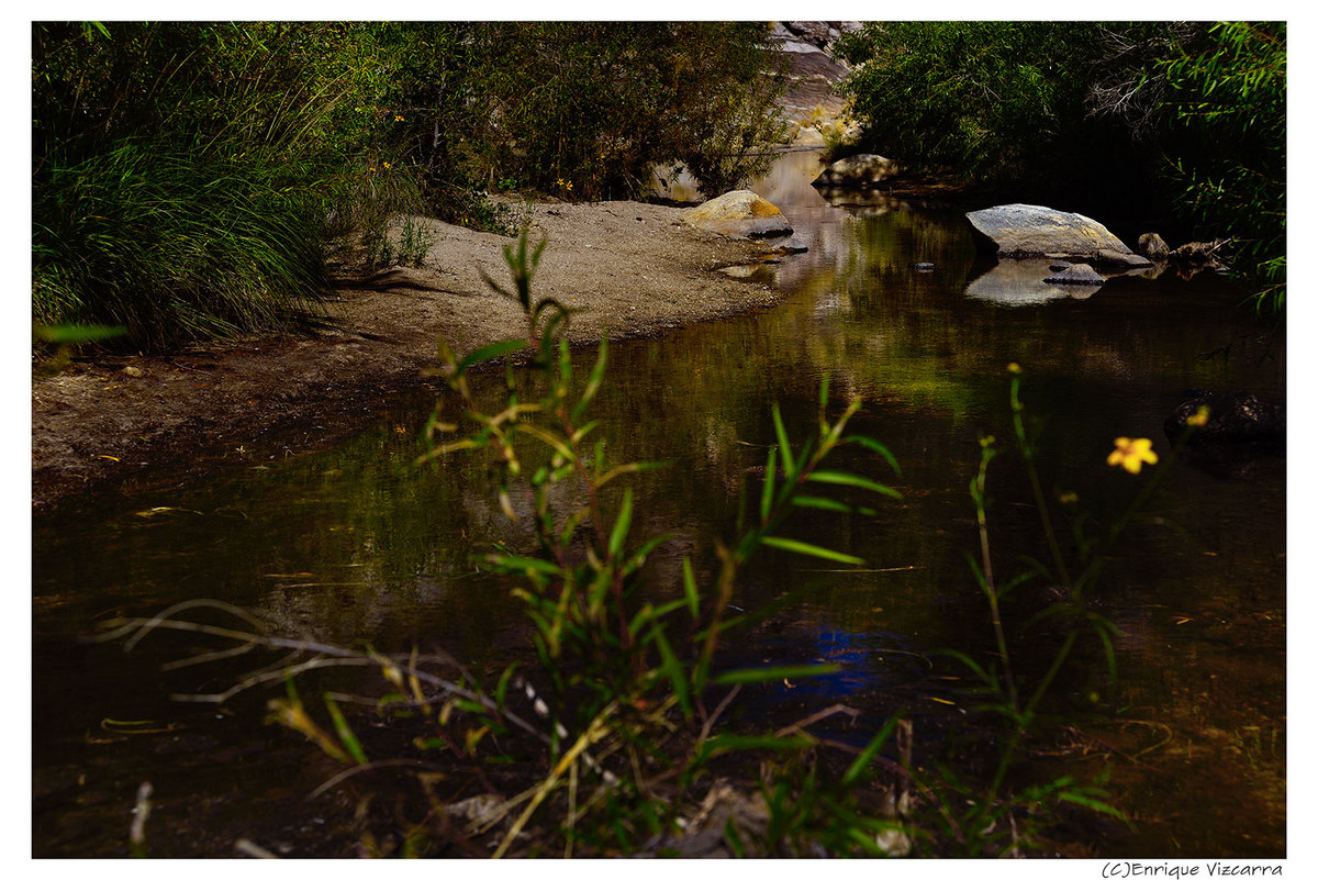 Sabino Canyon
