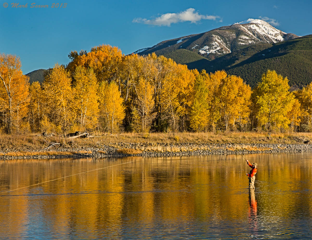 Fall Fly Fishing