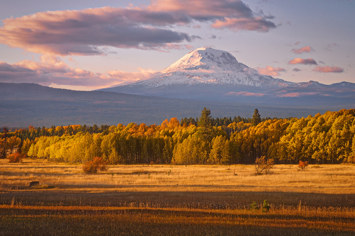 Klickitat's Bounty