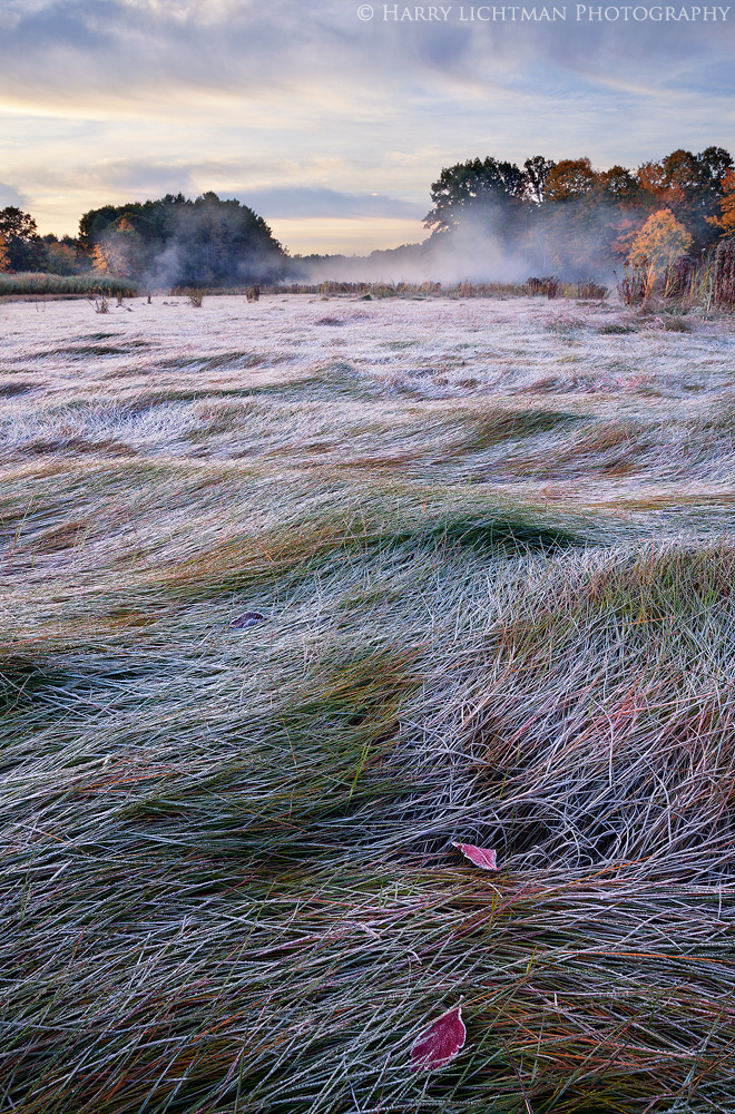 Squamscott Marsh