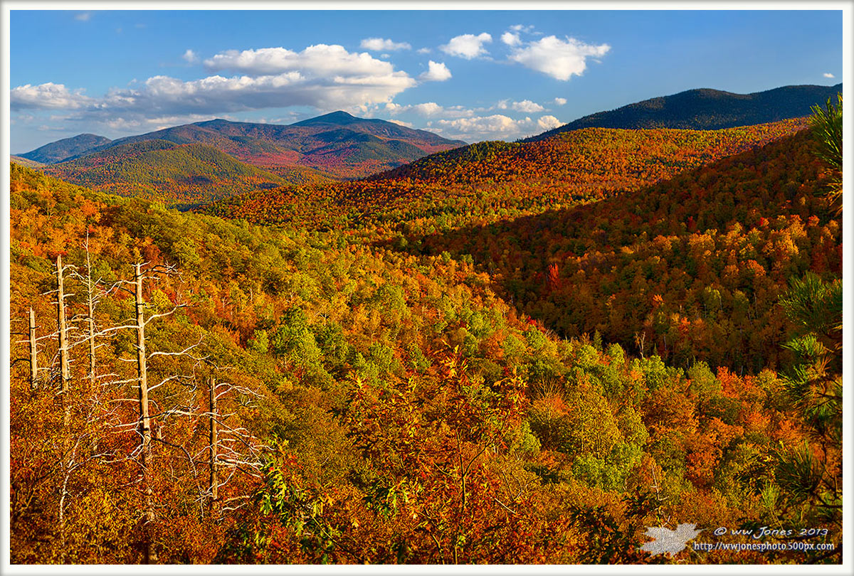 Adirondack Autumn Sun