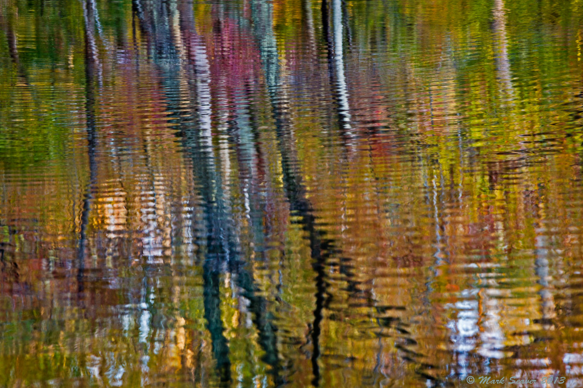Rippled Reflections