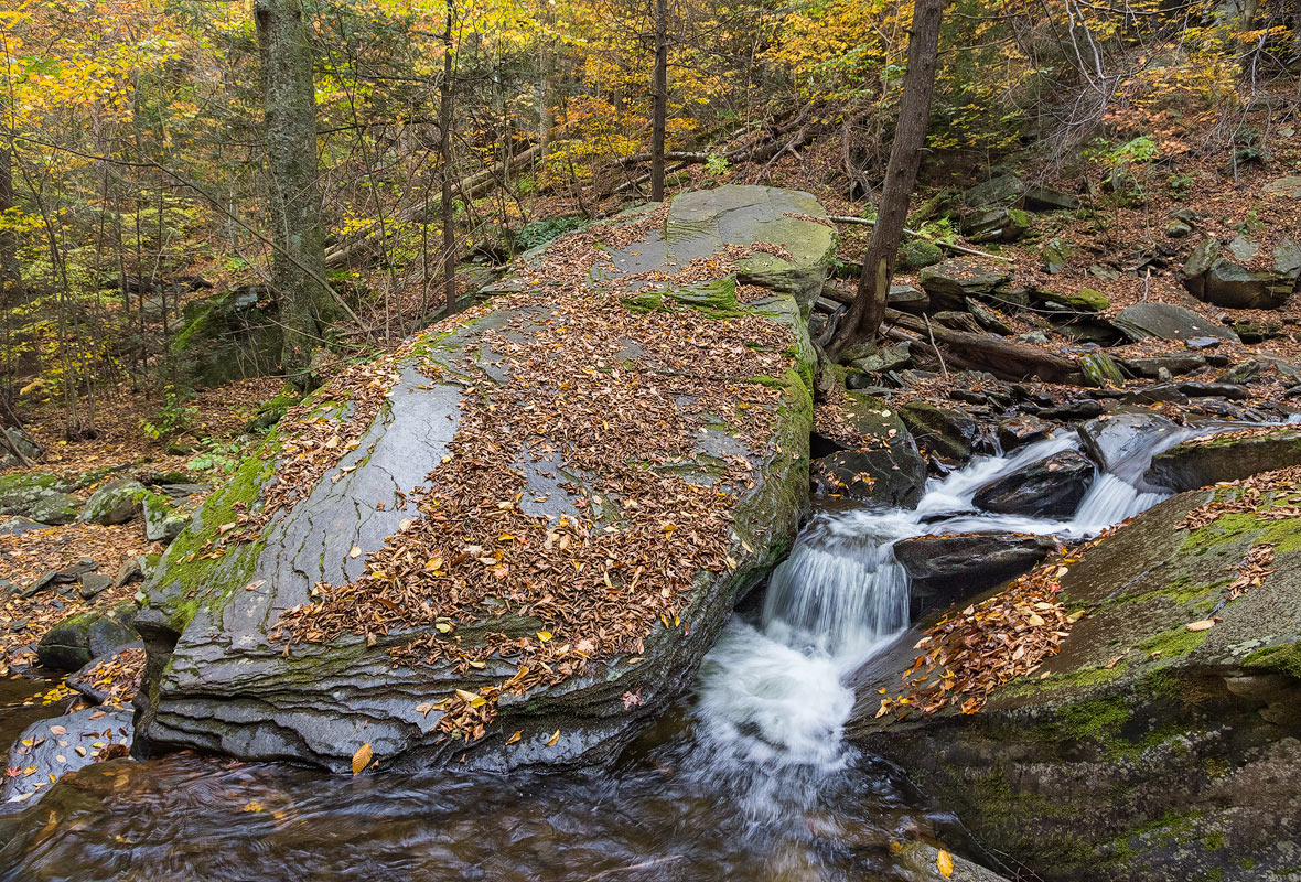 Rickett's Glen, PA