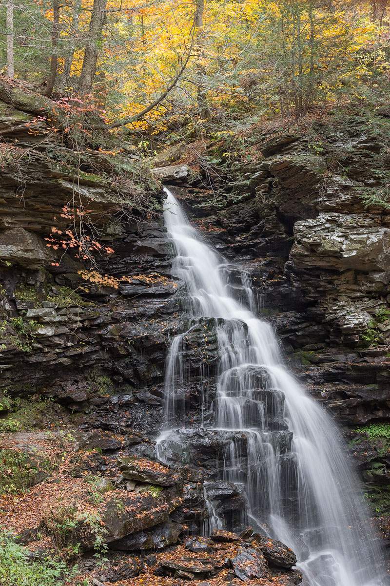 Rickett's Glen, PA