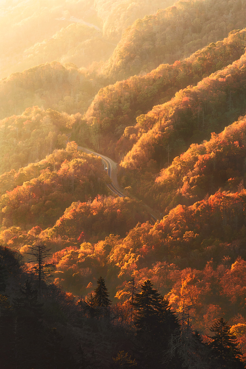 Enchanted Drive