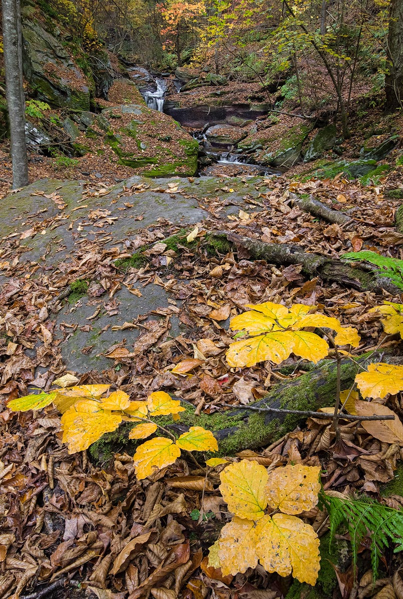 Rickett's Glen, PA
