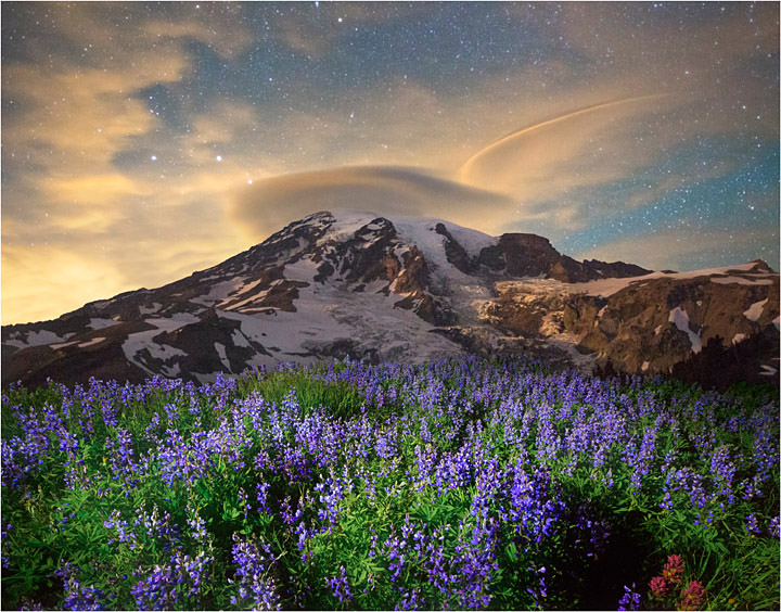 Lenticular Majesty 