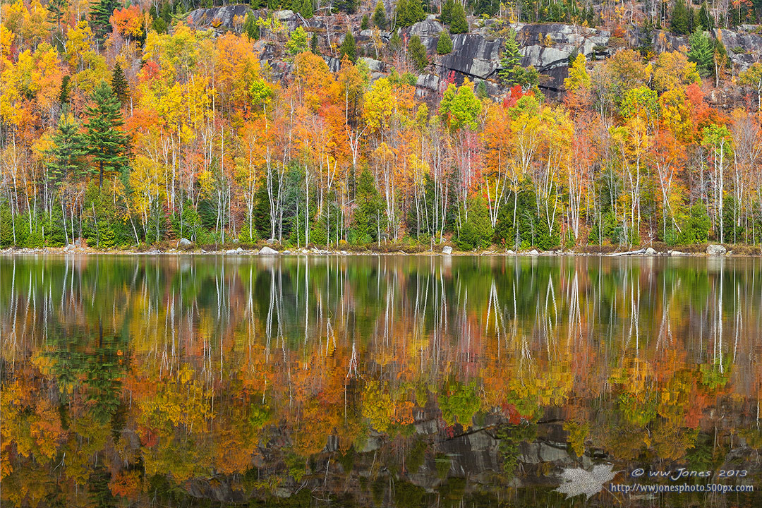 Nothin' But Fall Colors