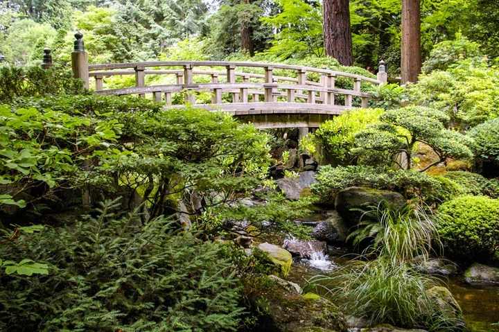 Japanese Garden Bridge/Repost