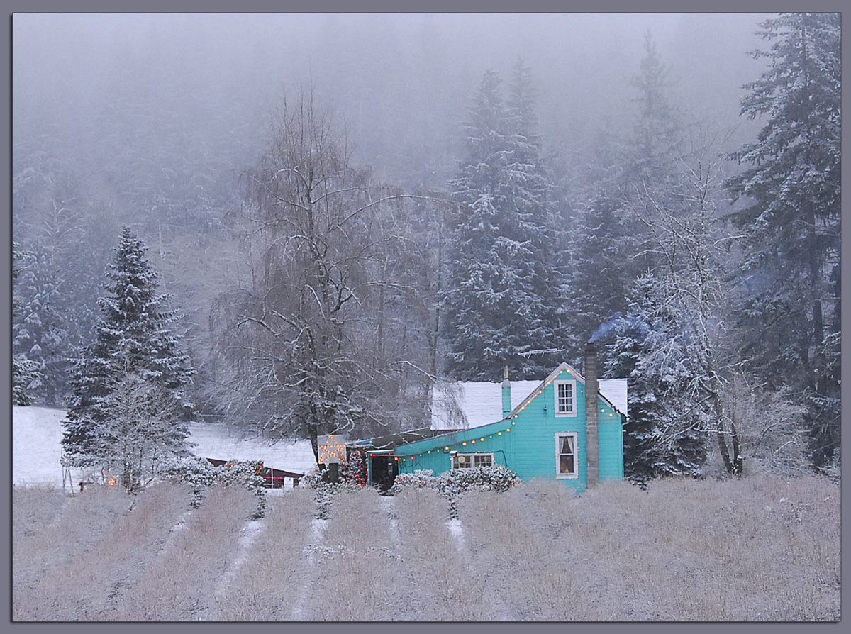 WC #608 - Frost