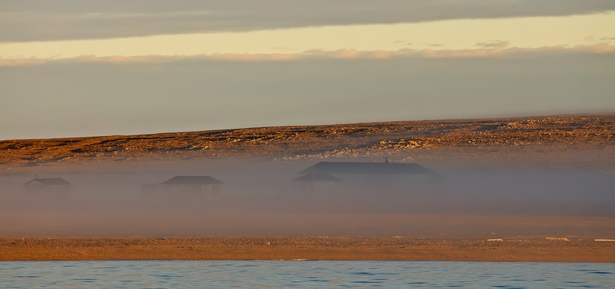 Misty Morning