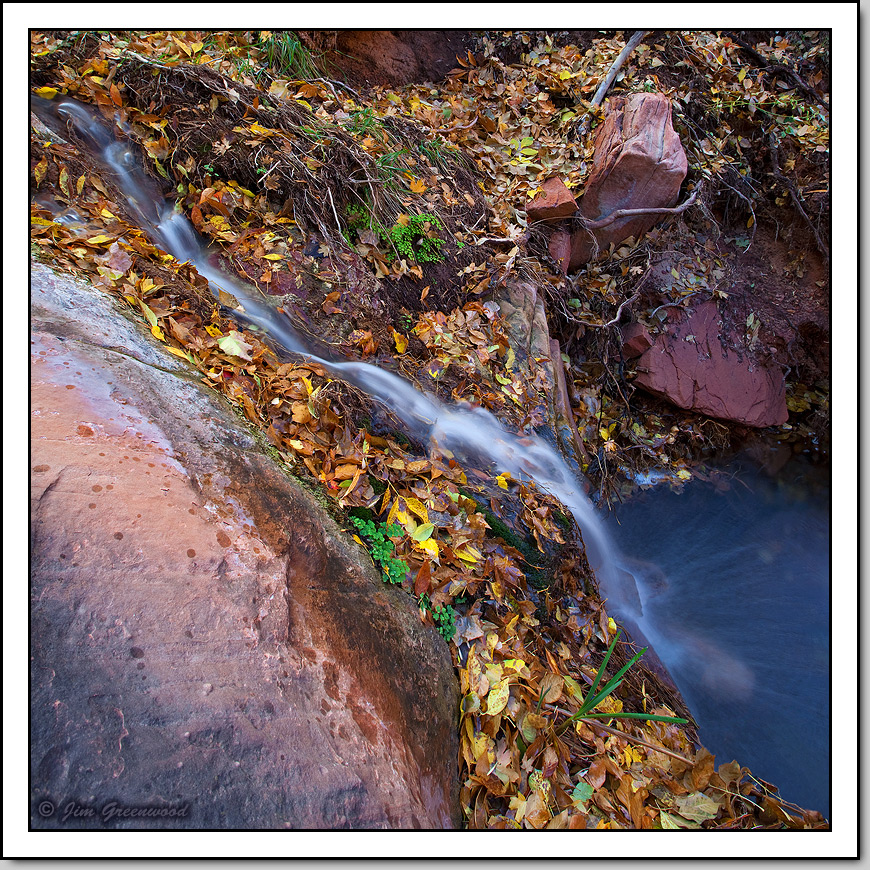 Autumn Cascade