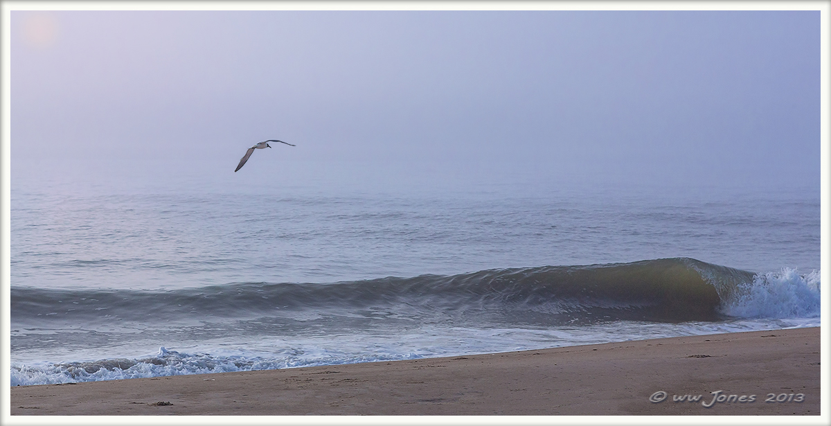 Shore Patrol