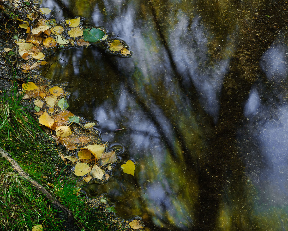 Reflections of Autumn