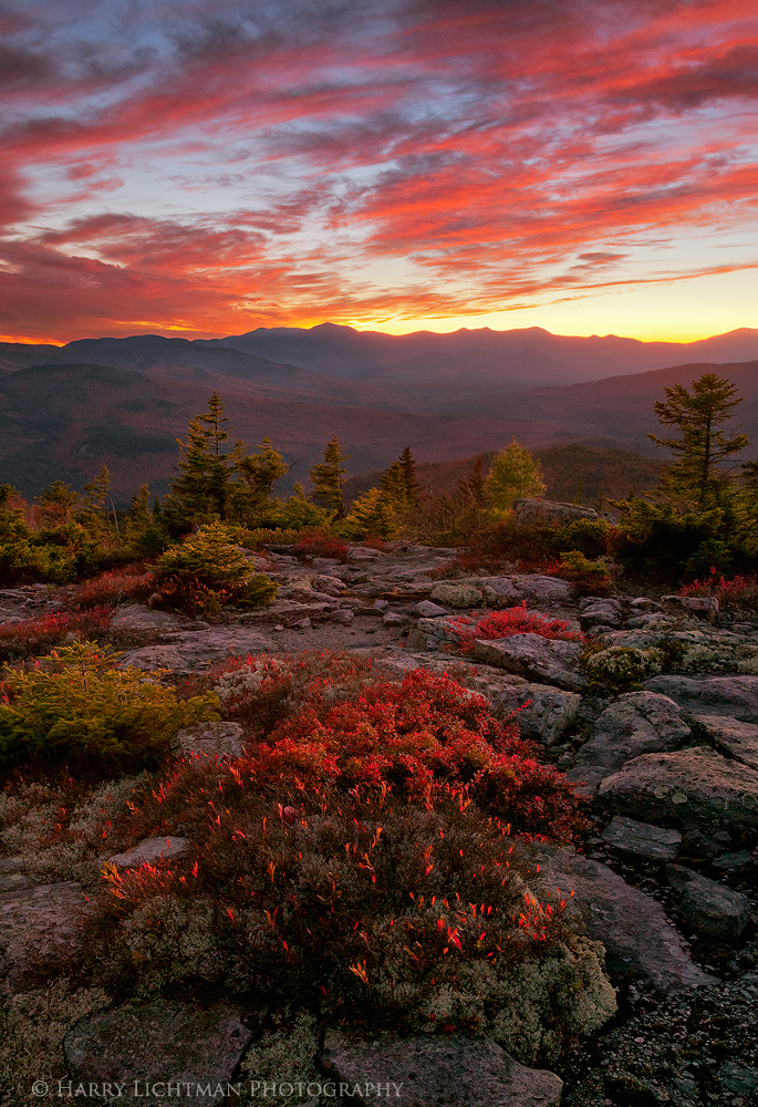 Autumn's Embers