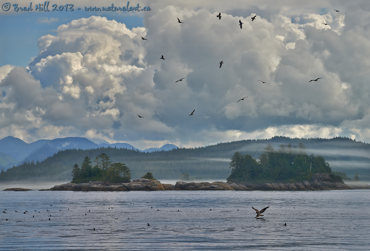 The Strike...