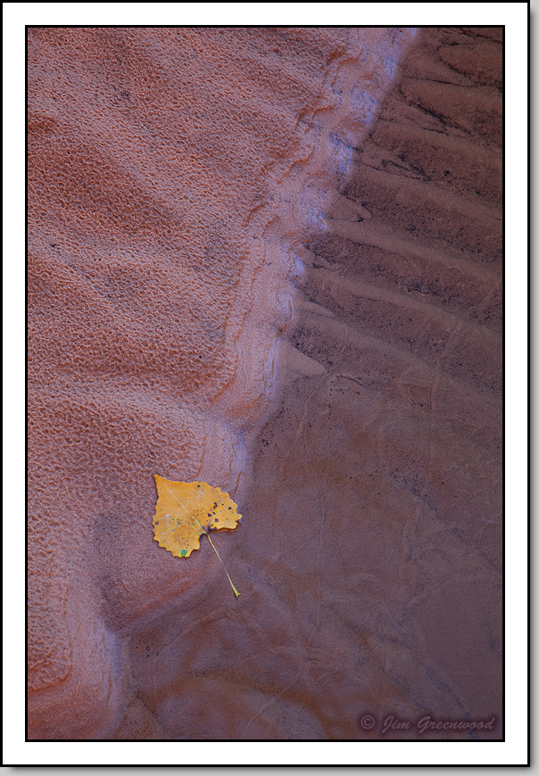 Patterns in the Sand