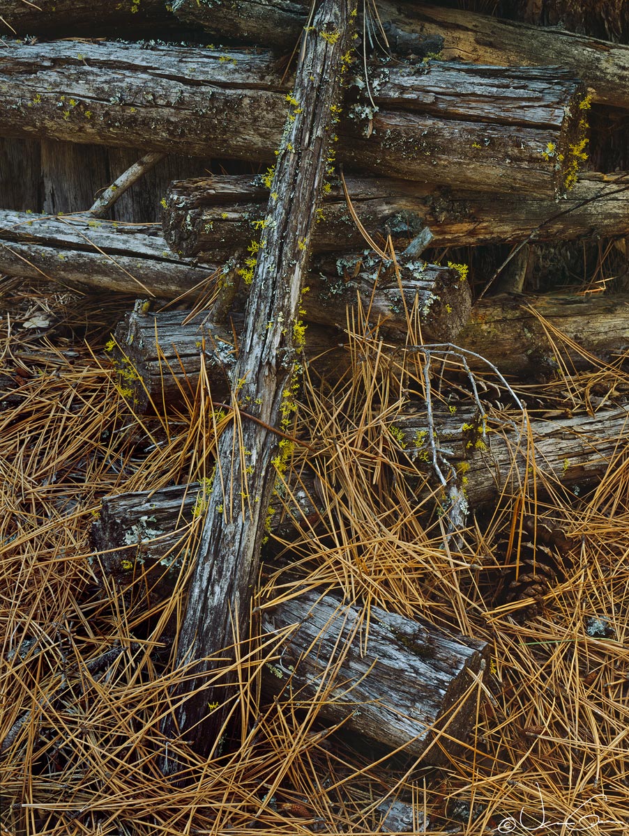 Fence
