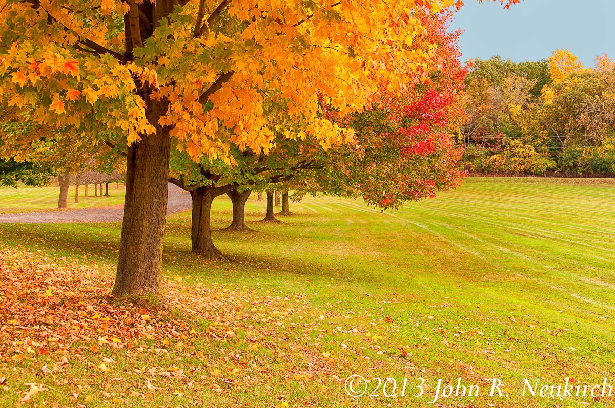 Autumn row.