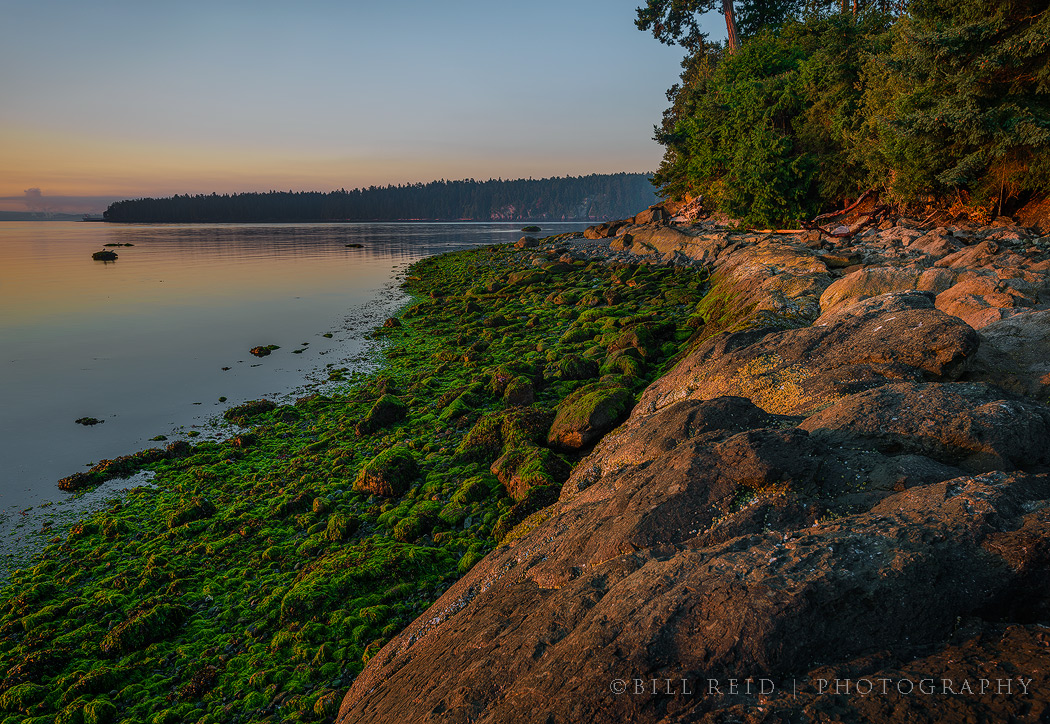 Seashore Growth