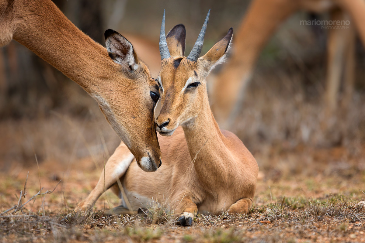A Moment of Love