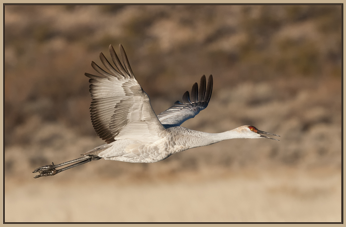 First Sandhill