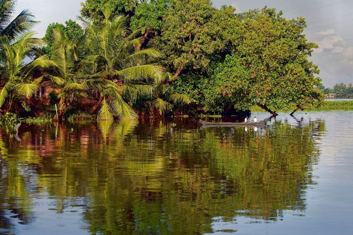 Reflections of Nature