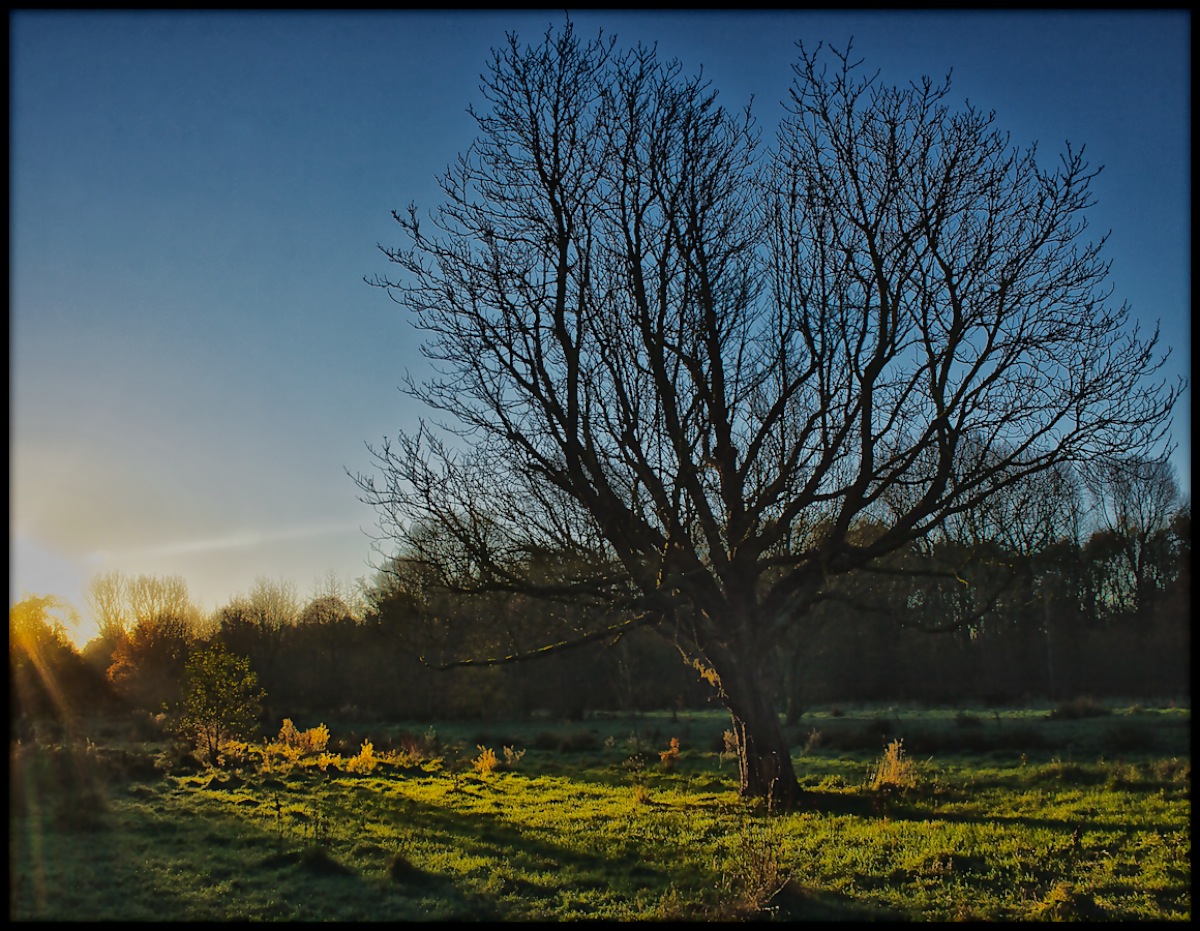 Winter's Approach