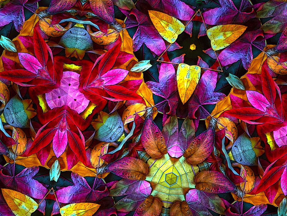 Autumn Leaves Abstract