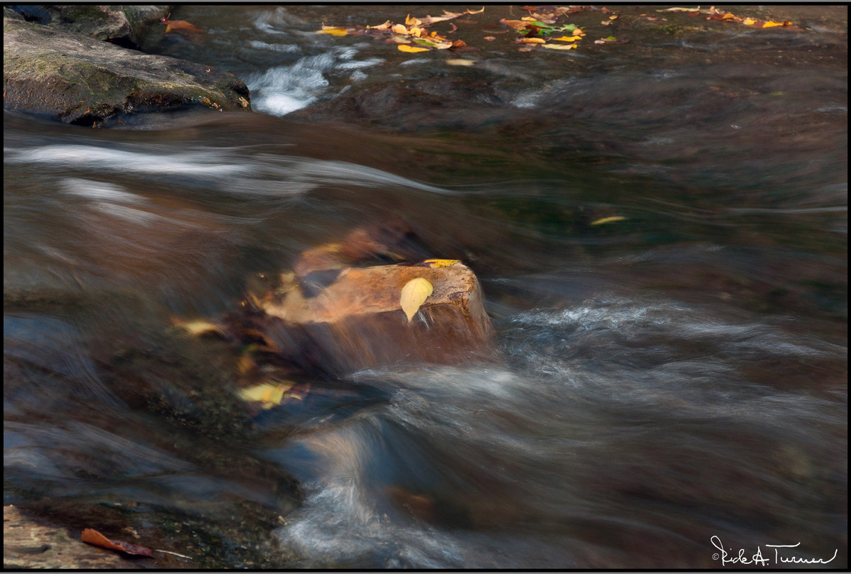 Winter Flows