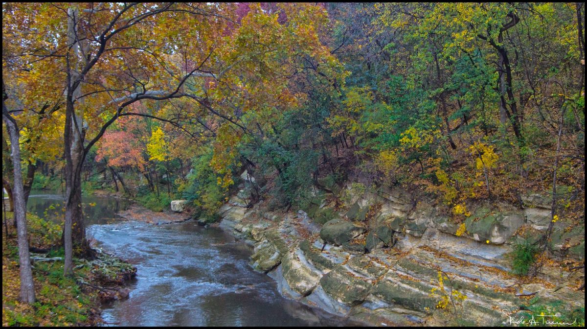 Trutle Creek Turns