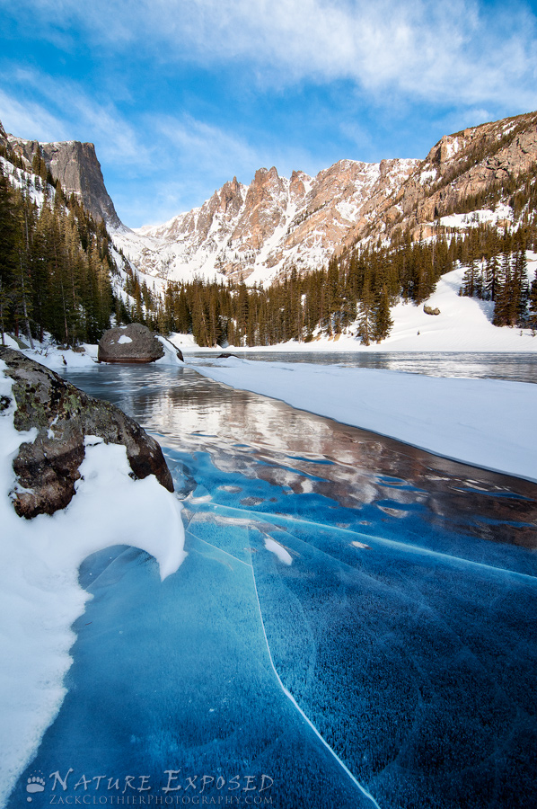 Dreaming Of Winter