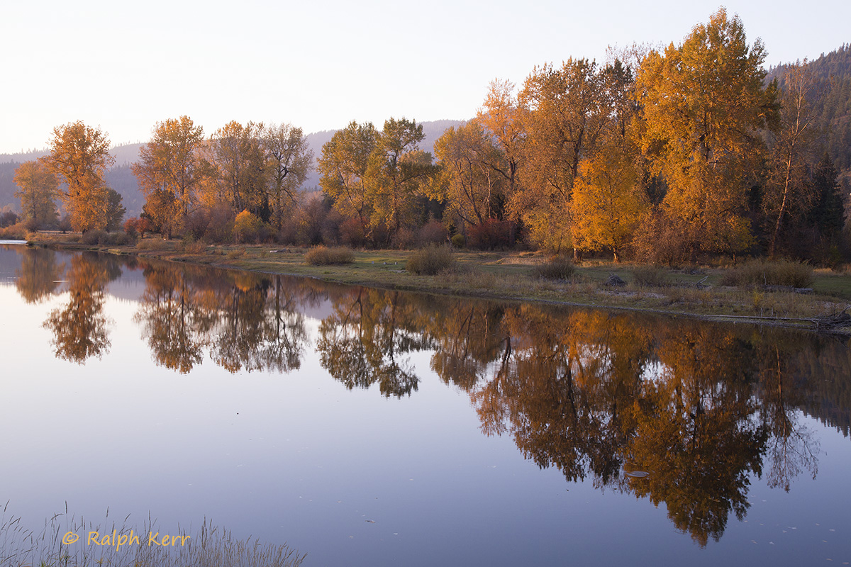 River Fall Reflection
