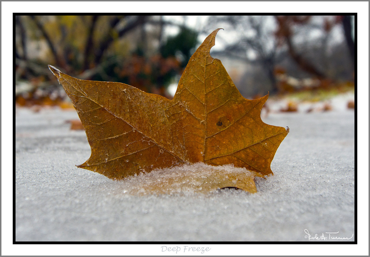 Deep Freeze