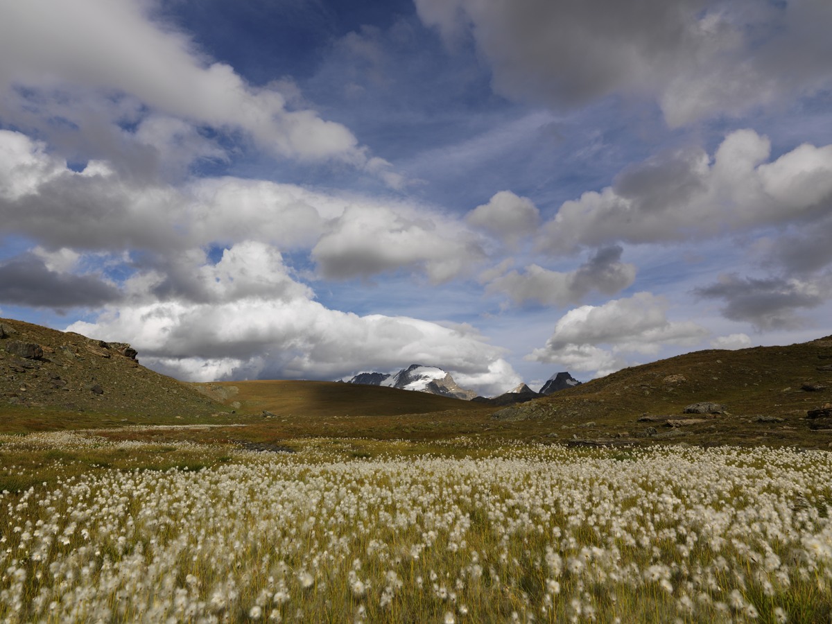 Cloudscape