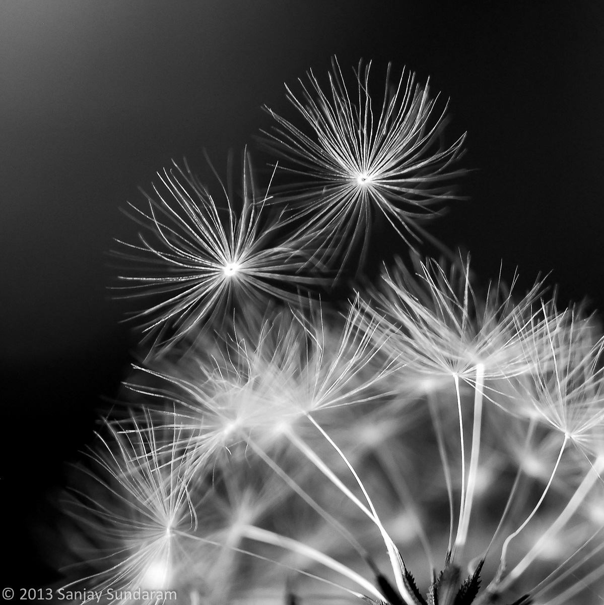Weightless
