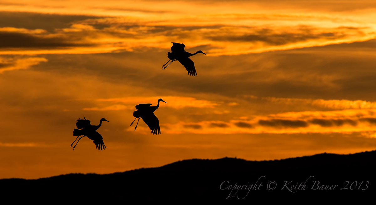 Sandhills at Sunset