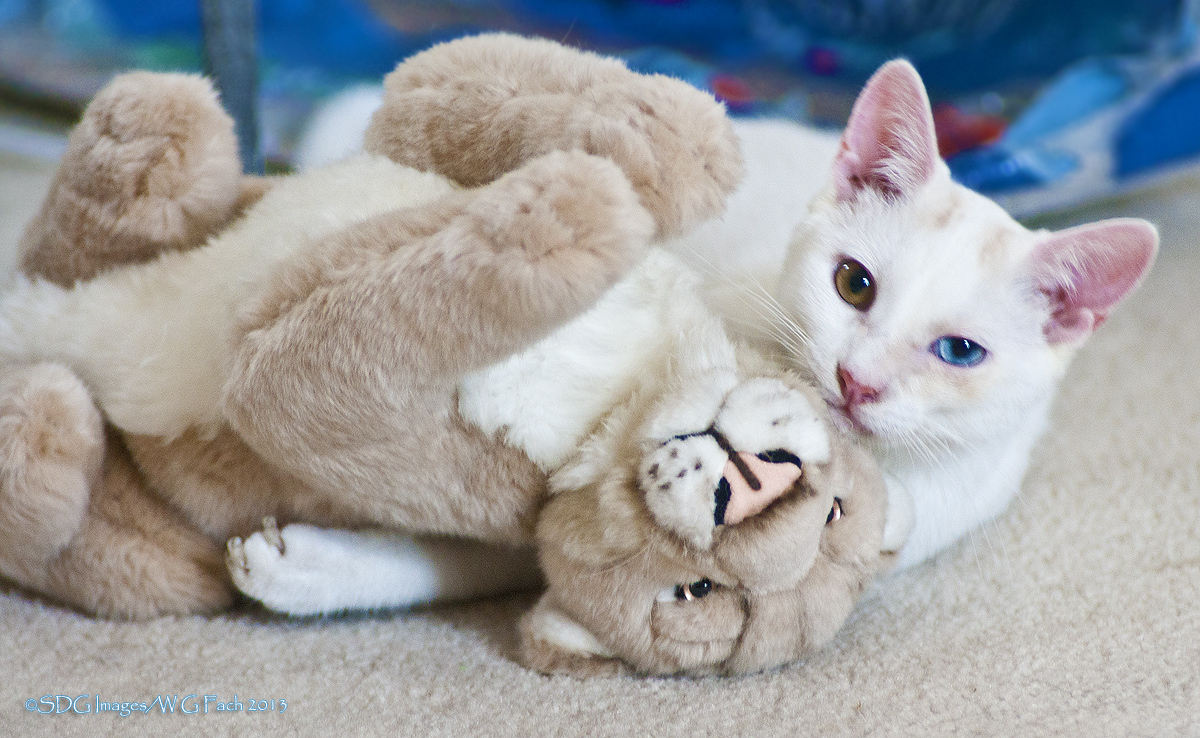 Best Buds