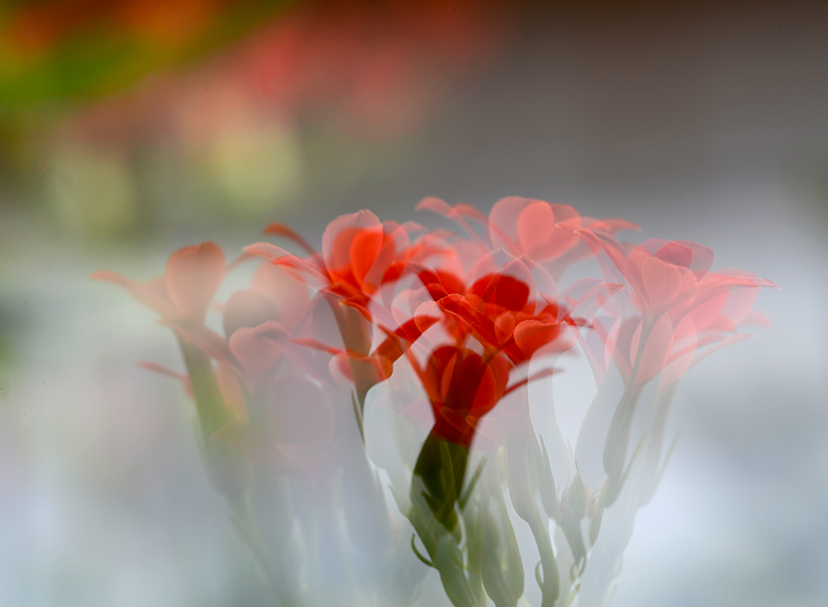 Double abstract